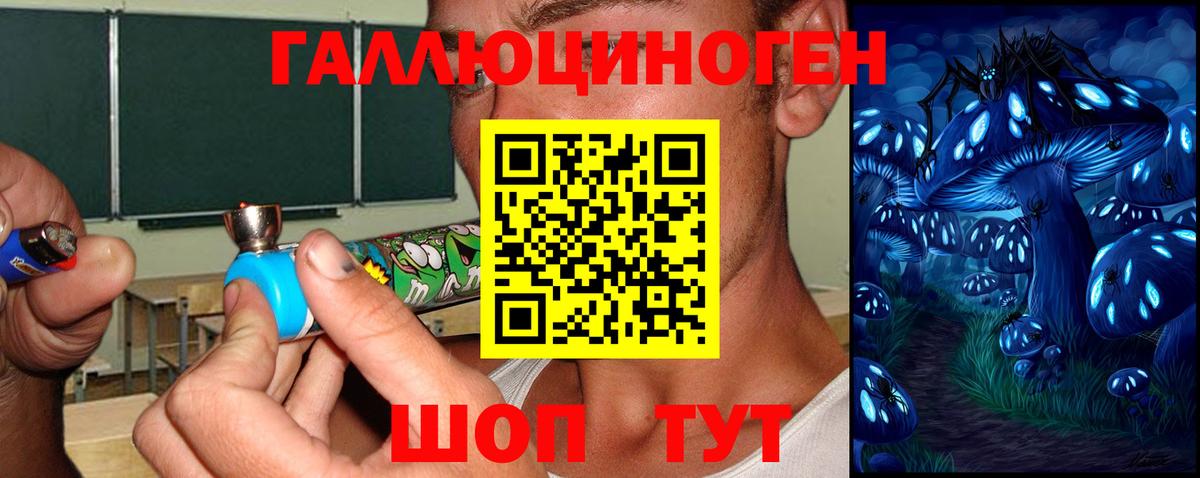 Галлюциногенные грибы Magic Shrooms Калининград