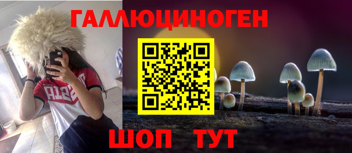 Калининград  Псилоцибиновые грибы ЛСД  Вход с VPN 