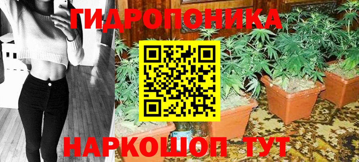 Конопля индика  Каннабис Amnesia  МАРИХУАНА Bruce Banner  Вход с VPN  Калининград 